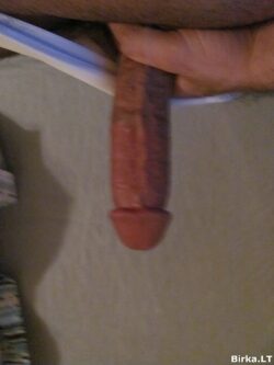 penis_dick_birka_pin_closup_00015