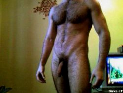penis_dick_birka_pin_closup_00028