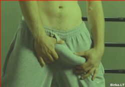 penis_dick_birka_pin_closup_00037